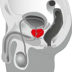 Rocks Off Rocks-Off Naughty-Boy -Sextoys voor hem Verkoop 05778390000 nor c