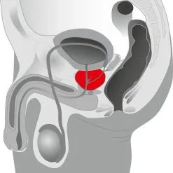 Rocks Off O-Boy 7 Prostate Stimulator By Rocks-off -Sextoys voor hem Verkoop 05824760000 nor c