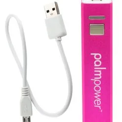 Palm Power Massage Wand With Powerbank -Sextoys voor hem Verkoop 05947500000 nor c
