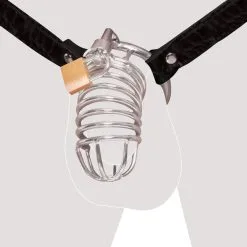 Pipedream Fetish Fantasy Series Extreme Kuisheidsgordel -Sextoys voor hem Verkoop Extreme Chastity Belt 1