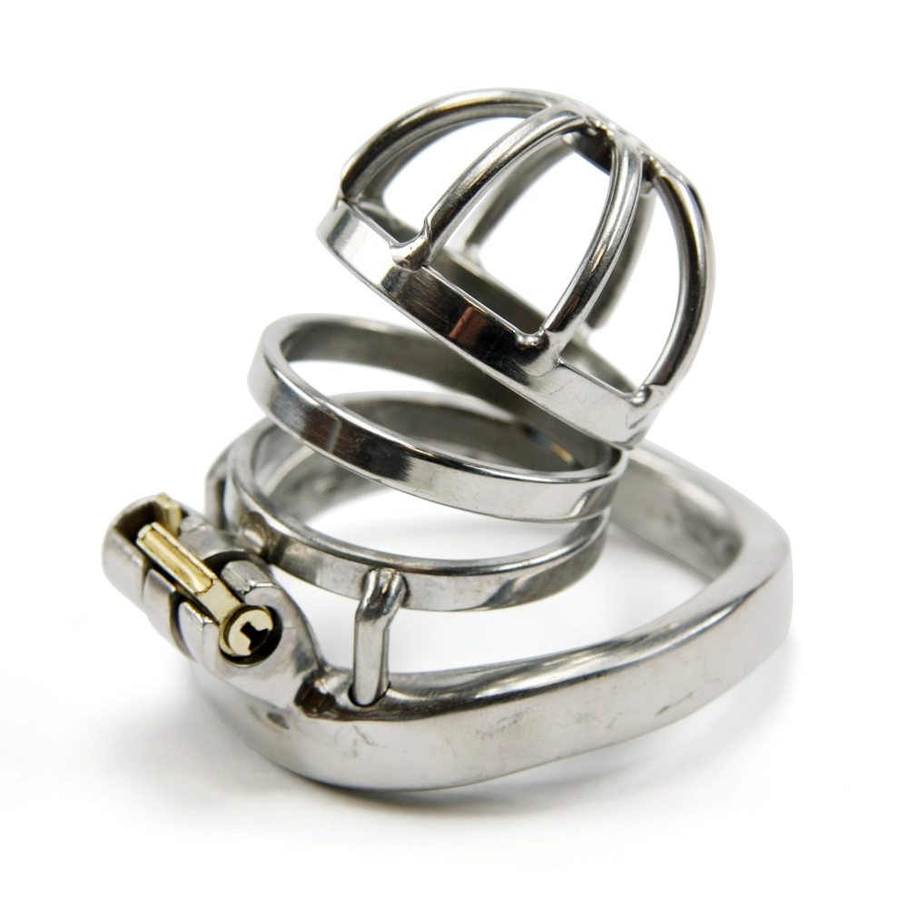 RVS Kuisheidskooi - Klein Van MAE-Toys 3 RVS Kuisheidskooi - Klein Van MAE-Toys