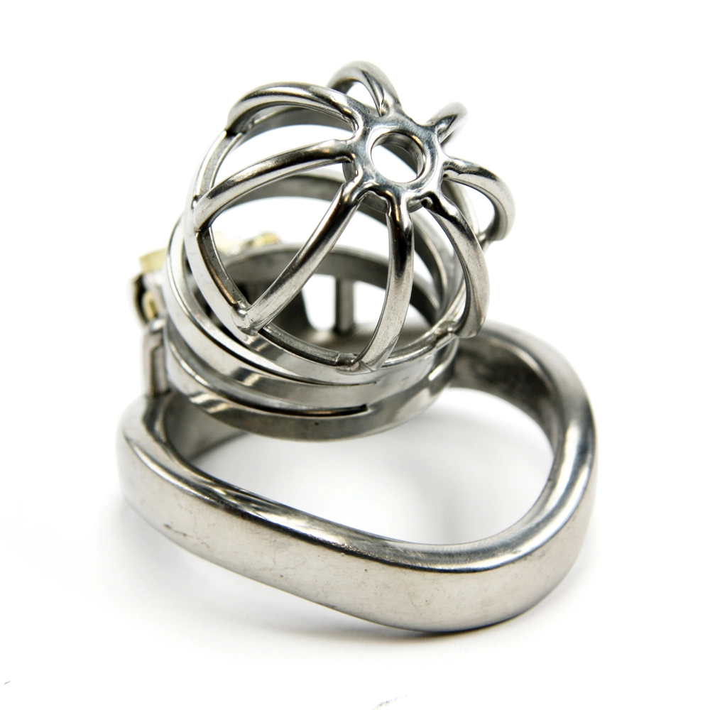 RVS Kuisheidskooi - Klein Van MAE-Toys 4 RVS Kuisheidskooi - Klein Van MAE-Toys - Afbeelding 2