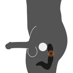 Rebel Men's Gear Oplaadbare Prostaat Stimulator Van Rebel -Sextoys voor hem Verkoop or 0595403 10 1