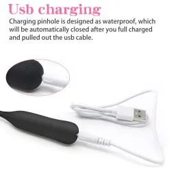 MAE-Toys 10 Programma Zwarte Urethrale Siliconen Sound-Vibrator -Sextoys voor hem Verkoop usb sound 7 4