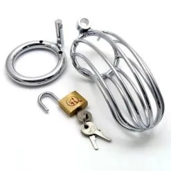 Master Series Stalen Variant Van De Curve Kuisheidskooi -Sextoys voor hem Verkoop xr ab292 ri 7991 the bird cage chastity device 4376
